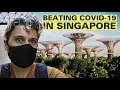 How Singapore is Beating COVID-19. Explained.