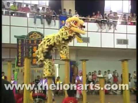 Best Of Lion Dance and Dragon Dance Competition