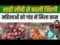 Muzaffarpur की Shahi Litchi से महिलाओं चमकी किस्मत, रोज हो रही हजारों में कमाई #LitchiSeason #bihar