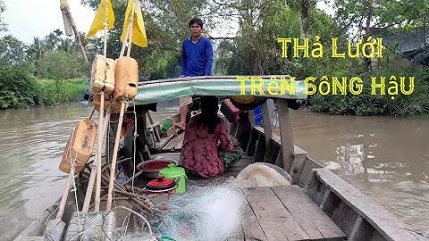 ra sông hậu thả lưới cá út trắng mưu sinh trên sông