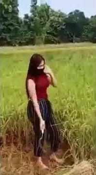 Cewek cantik ngarit disawah