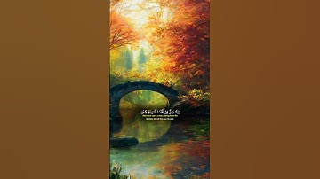سورة القصص |#ياسر_الدورسري #قرآن #القرآن_الكريم #quran #راحة_نفسية #اكسبلور #لايك #duet #دويتو