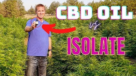 What is CBD? The Difference Between CBD oil and CBD Isolate.
