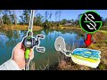 NEW Googan Squad CLICKBAIT Catches BIGGEST BASS in My Pond!!!