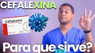 What is CEPHALEXIN used for? | 3 things | MEDICATIONS