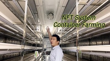 A Real-World Tour Inside a Lyine NFT Container Farm | See How It Works