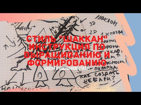 Стили БОНСАЙ. Как вырастить бонсай в стиле Шакан (Shakan) - наклонном стиле.