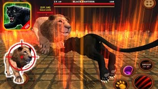 Black Panther Simulator: Wild Animals Survival 3D - Kill Lion IOS Gameplay |Newbie Gaming Black Panther Simulator: Wild Animals Survival 3D - Kill Lion IOS Gameplay |Newbie Gaming