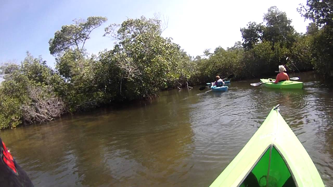 Kayaking on Sanibel Island from Tarpon Bay Explorers Rental YouTube