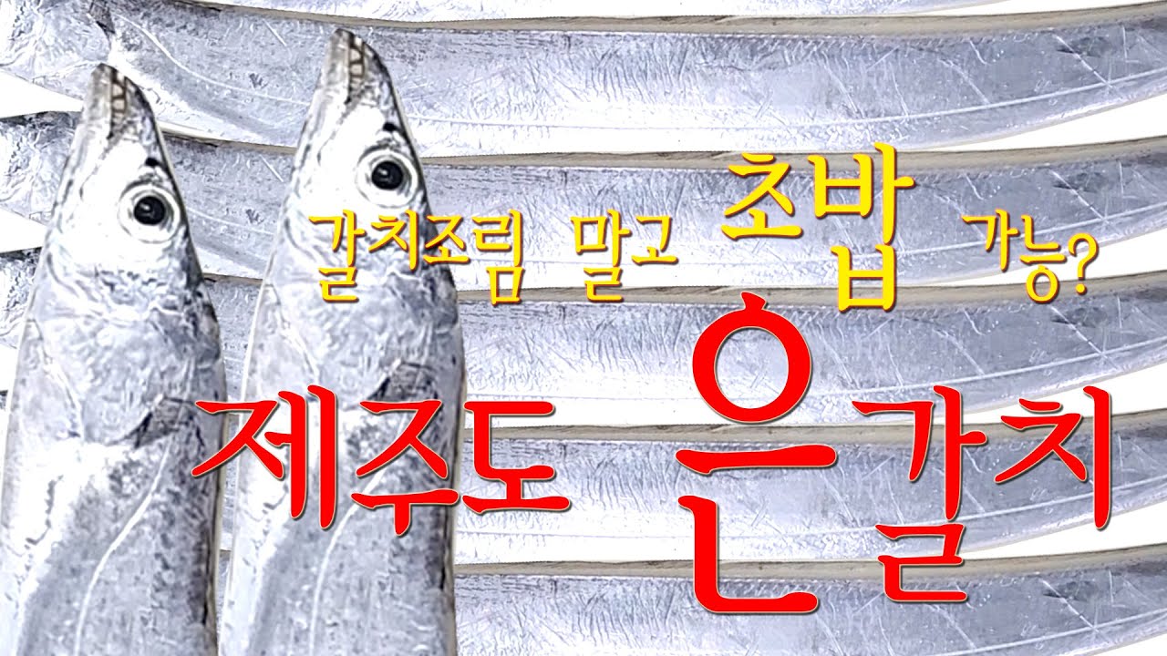 제주도 은갈치 초밥 #스시 #스시오마카세 #낚시 #생선 #제주도은갈치 #은갈치 #초밥 - YouTube