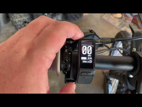 Talaria sting display problem