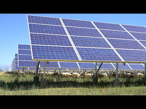 Video: Nuevo enfoque para la energía solar y eólica - Crecer