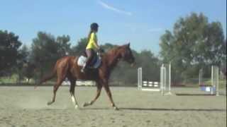 First Ride Bitless :)