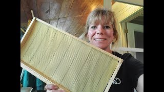 How To Re-paper Bee Hive Frames