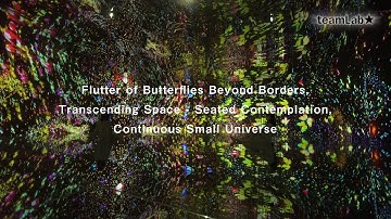 Flutter of Butterflies Beyond Borders, Transcending Space