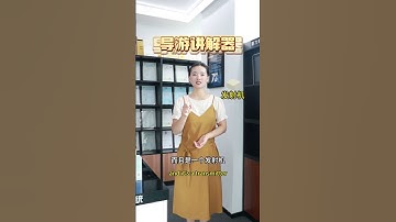 Tour guide interpreter