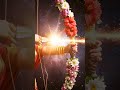 माँ ललिता का दिव्य प्रकाश! 🌸 Tripurasundari #Shakti
