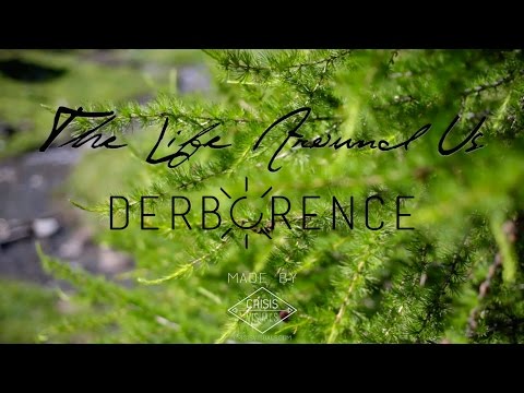 Derborence - The Life Around Us