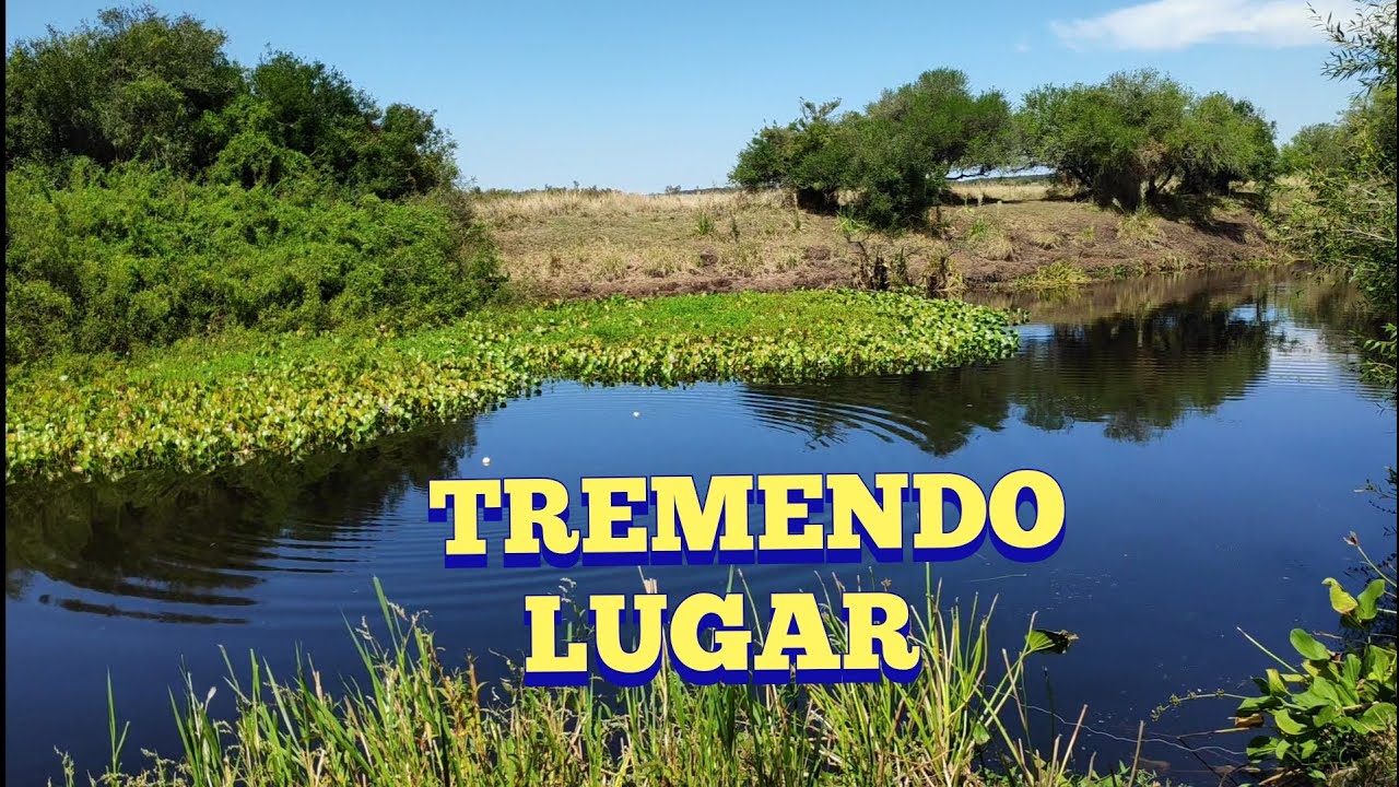 Pesca en arroyo de Durazno y Polanco del Yí en Pesca en agua dulce