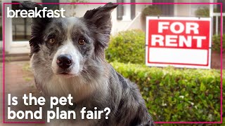 Govt's pet plan peeves some renter advocates | TVNZ Breakfast