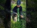 草を抜いても、抜いても、また生えてくる。それは偶然ではなく、土の中に眠る種や、草を抜いた後にできる「空き地」が関係しています。草を抜くことで、次の草を招いていることもある。