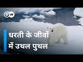 जीव जंतुओं पर जलवायु परिवर्तन का असर [How does climate change affect animals]