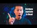 Cardano Taptools dies! Is Cardano's ecosystem collapsing?
