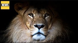 THE BOOK OF DANIEL - DANIEL'S TRAINING IN BABYLON