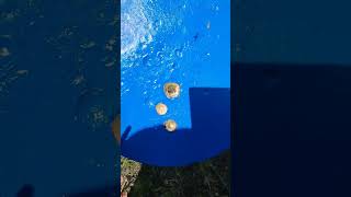 M80A1 .300 Win Mag Verses Thick Ar500 Target At 25 Yards