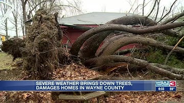 Windstorm topples trees, flips vacant mobile home in Wayne County