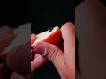 Mini Titanium Compact Bottle Opener &amp; EDC Cutter