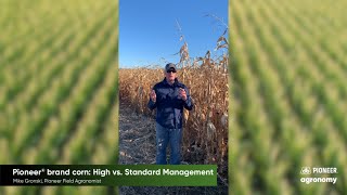 Pioneer® brand corn: High vs. Standard Management