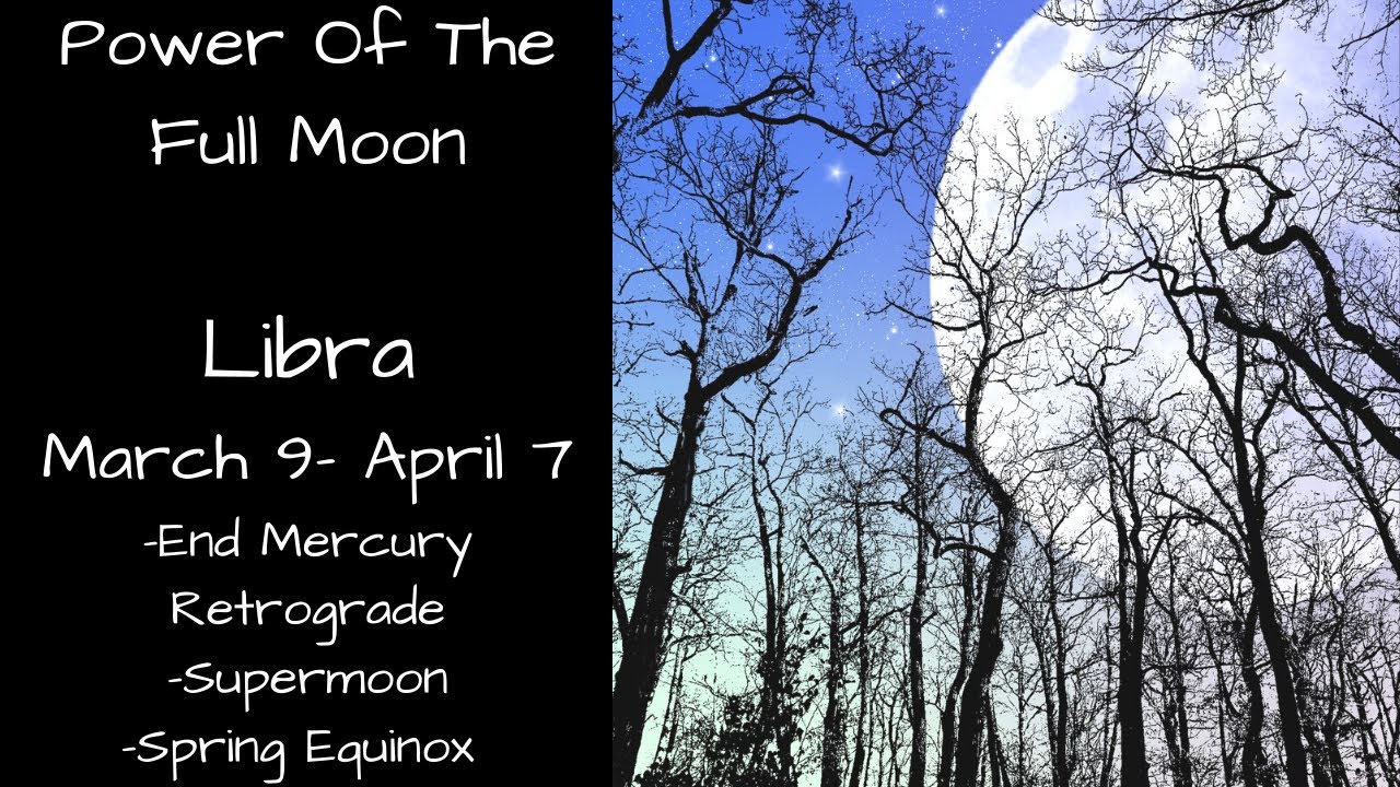 Libra, It's Time For Your Happily Ever After | Psychic Empath Tarot Reading