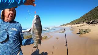 Scratching for Edibles at Mosselbay. Fishing South Africa