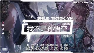 Download Lagu 魏佳艺 -我不是孙悟空 (抖音热播DJ版) Tôi Không Phải Tôn Ngộ Không (Remix)『有多少人和我一样，莫名想去一个地方，莫名的就想大哭一场』2k23抖音火流行歌曲推荐 MP3