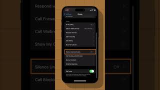 How to Silence Unknown Callers  on iPhone screenshot 5