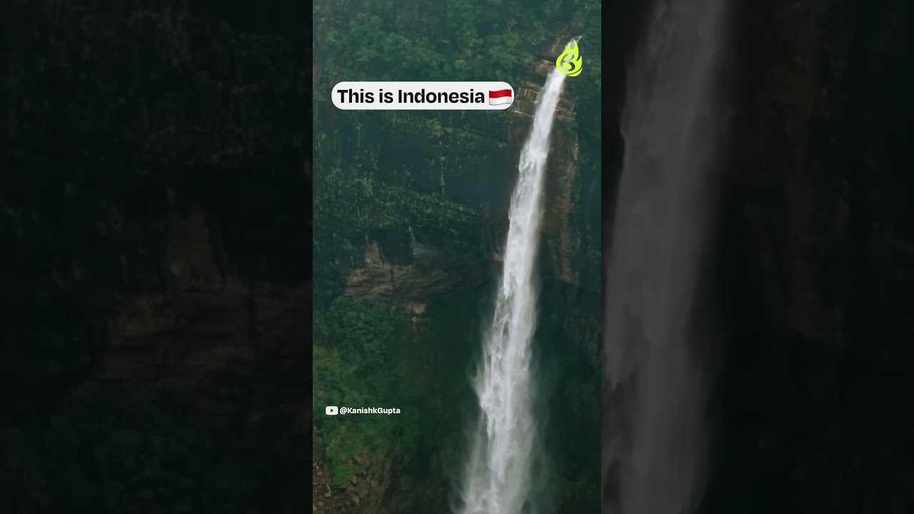 Whole world in India! 