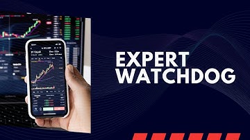 What is Decentralized Exchange Explained - How it Works, Types & Features   DEX Crypto