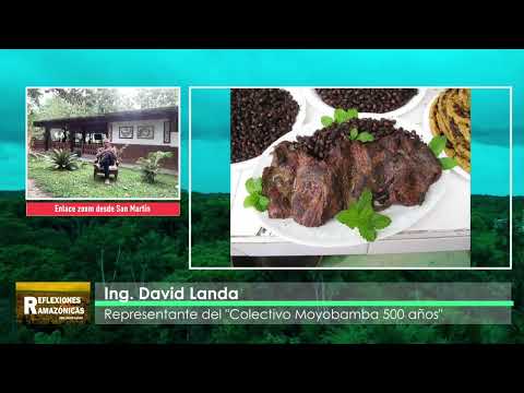 LOS INSECTOS COMO ALTERNATIVA GASTRONÓMICA EN LA AMAZONIA