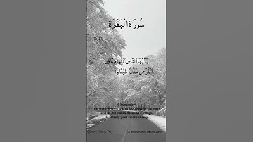 SURAH Baqarah Ayat No 2 :167 No 168 | Arabic  | سورة البقره | With English Translation verses #quran