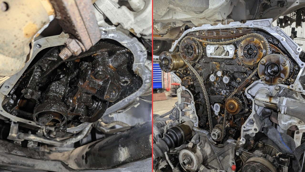 Customer States (IDIOT CAR OWNERS 4) | Just Rolled In