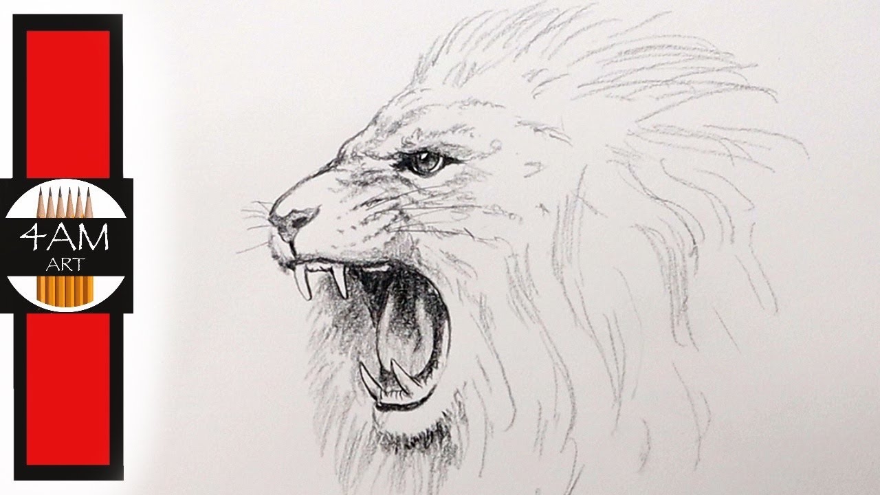 How to Draw a Roaring LION in Pencil, Step by Step - YouTube