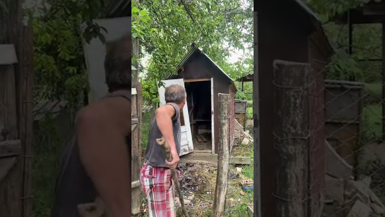 Translating Ukrainian memes - Part 26 