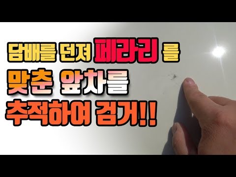 운전중 페라리에 담배를 던지고 도망간 운전자 추격끝에 잡았습니다. with <strong>람보르기니</strong> 엔진룸에 <strong>담배</strong>