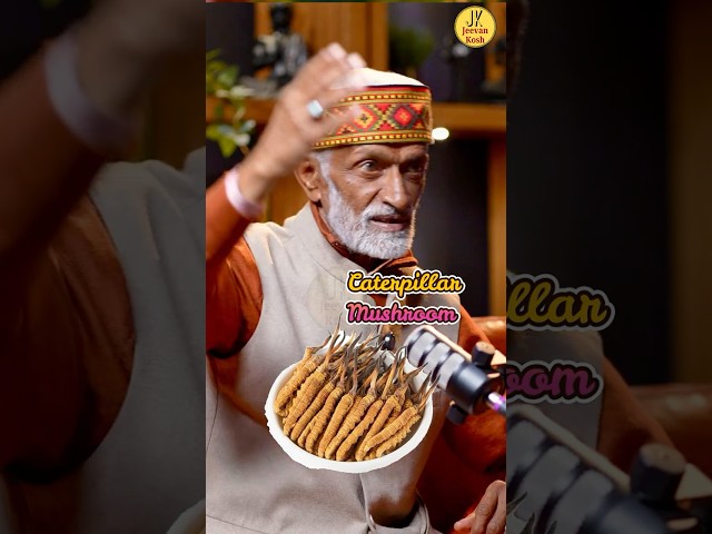 How to test Purity of Food you are eating by Vaidya Rajesh Kapoor #foodadulteration #healthyfood