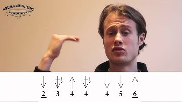Quick Harmonica Tip 002: How to play the blues scale in 2nd position