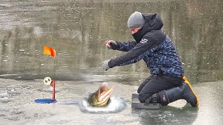 видео: ЛУЧШЕ, ЧЕМ СИДЕТЬ ДОМА... ЩУКА на ЖЕРЛИЦЫ!!! ПЕРВЫЙ ЛЁД на ДОНЦЕ!!! РЫБАЛКА на ПЕРВОМ ЛЬДУ картинка: ЛУЧШЕ, ЧЕМ СИДЕТЬ ДОМА... ЩУКА на ЖЕРЛИЦЫ!!! ПЕРВЫЙ ЛЁД на ДОНЦЕ!!! РЫБАЛКА на ПЕРВОМ ЛЬДУ