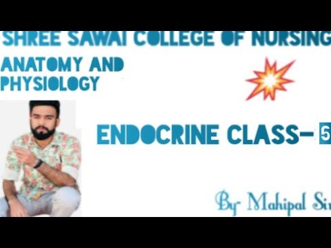 LECTURE 6th ENDOCRINE SYSTEM - YouTube