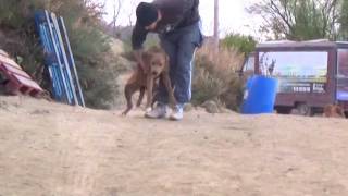 Download Lagu CINTA (20131212185102) MP3