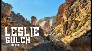 AMAZING LESLIE GULCH and SUCCOR CREEK (Oregon)